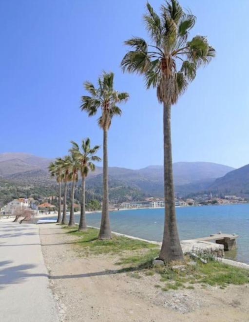 Luxury Apartments Blue Moon - New Apartments Slano Esterno foto